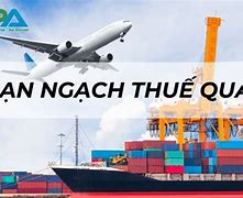 Hạn Ngạch Thuế Quan In English