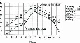 Nhiệt Độ Thấp Nhất Được Ghi Nhận Ở Việt Nam