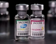 Vaccine Vietnam Tên Gì Cho Đẹp Nhất Thế Giới