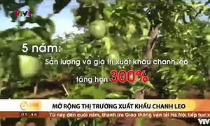 Xuất Khẩu Chanh Leo Sang Mỹ